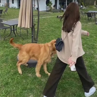 小镇二友